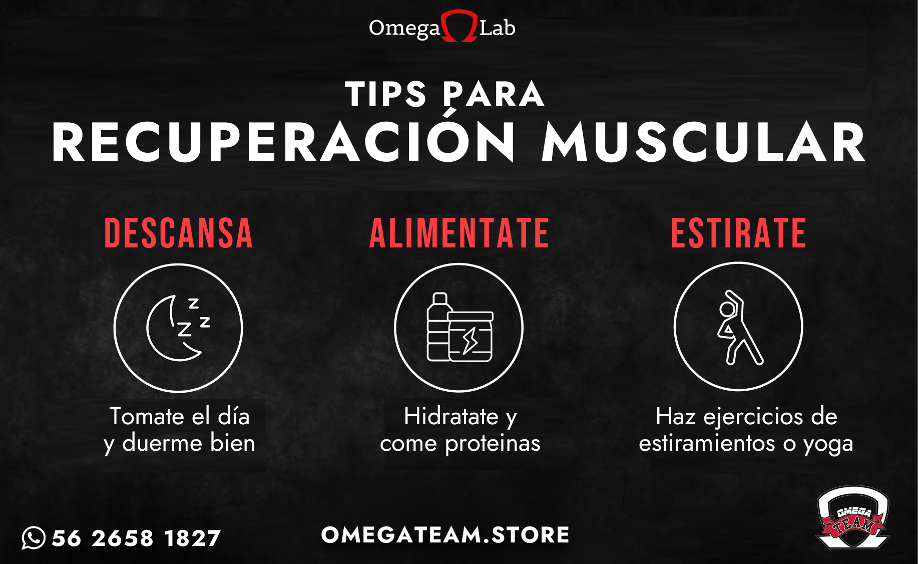 recuperacion muscular