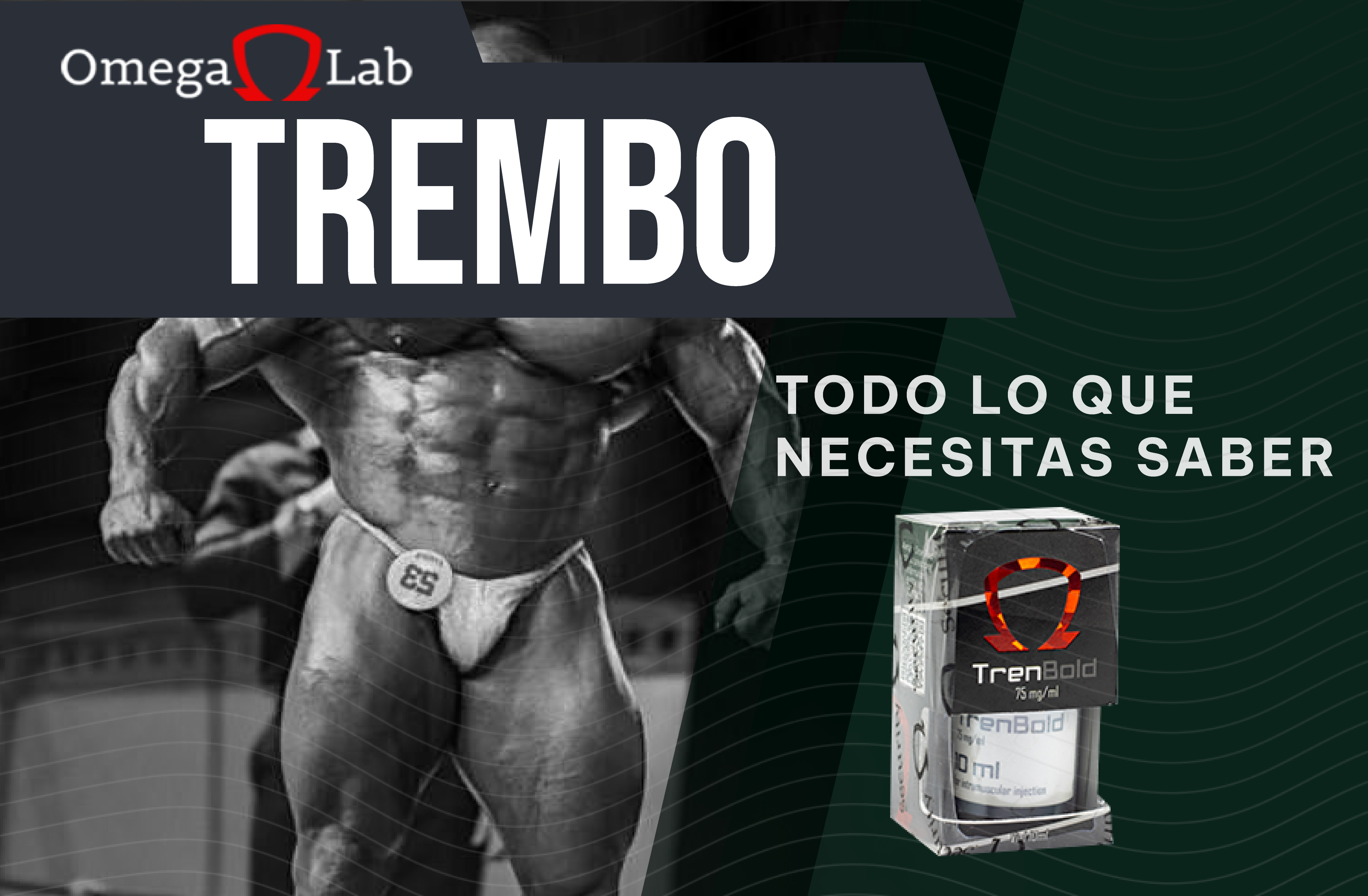 trembowordpress-01