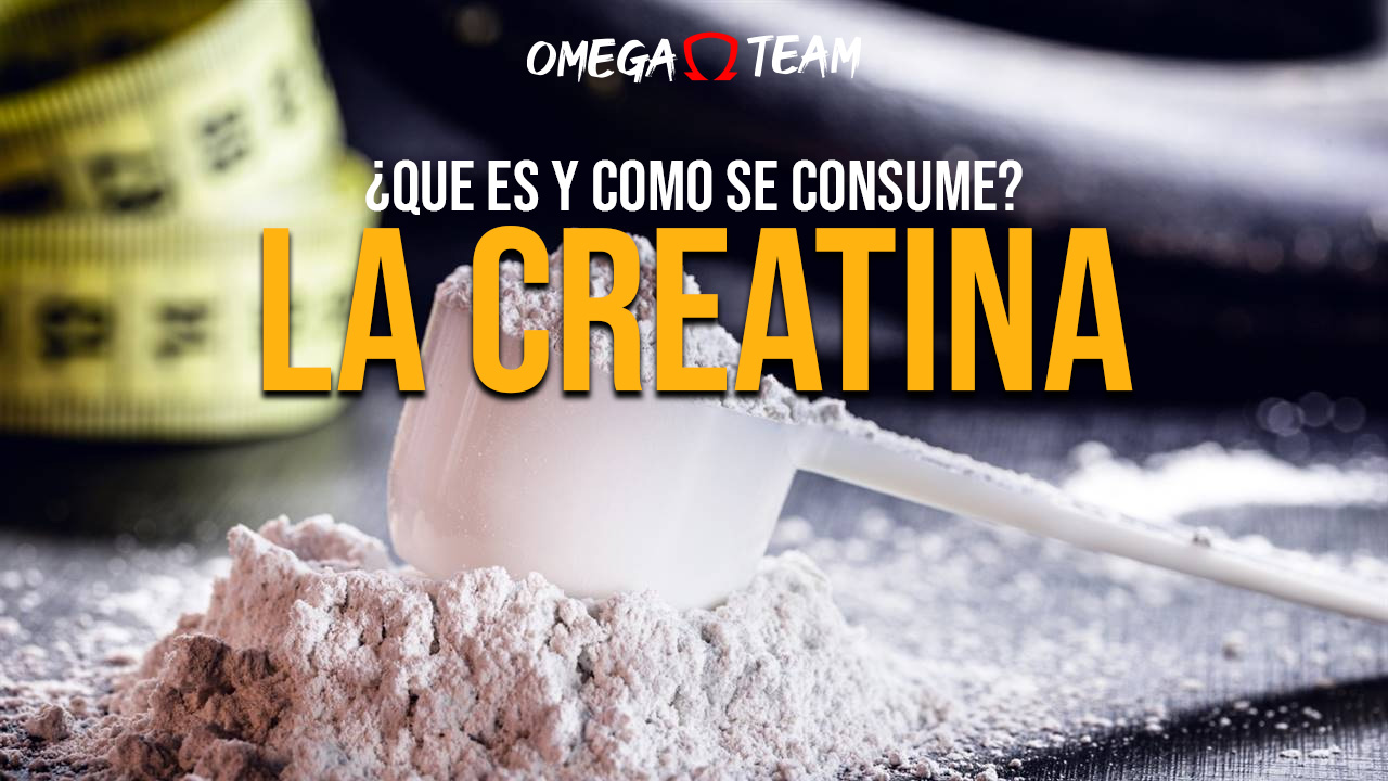 creatina protada