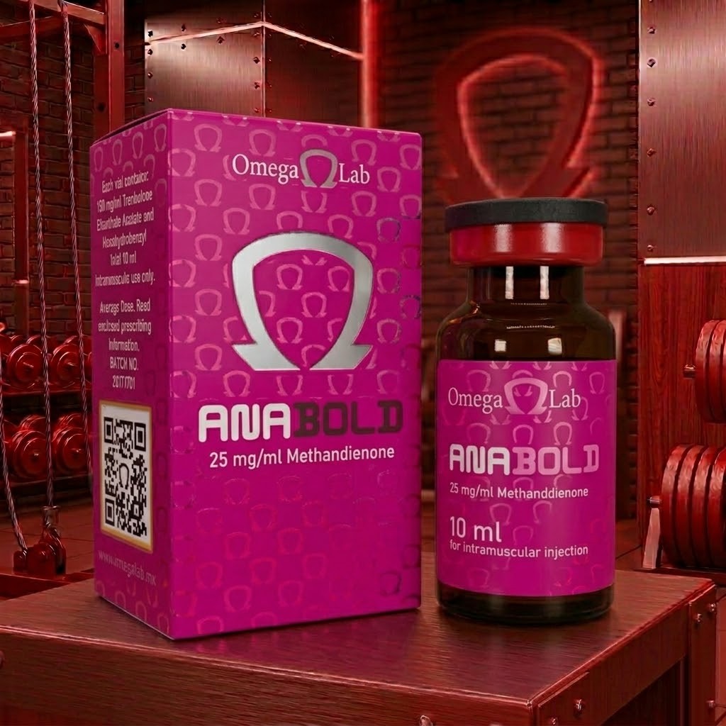 membrete gym 3306